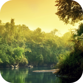 Thai Jungle