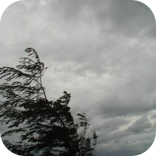 Wind - Strong