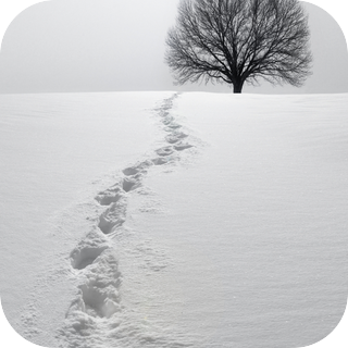 Footsteps Through Snow