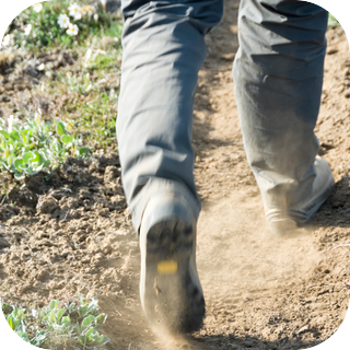 Footsteps Through Dirt