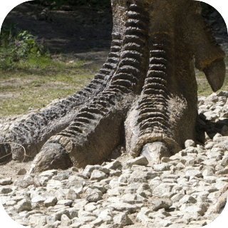 Monster Footsteps