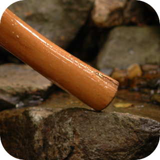 Eucalyptus Didgeridoo