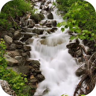 Gurgling Creek