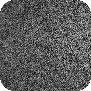 White Noise