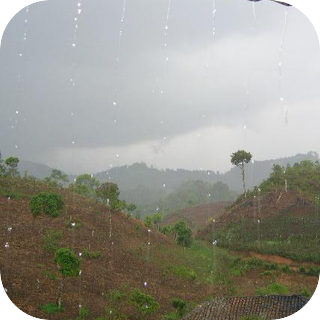 Rain on a Tin Roof